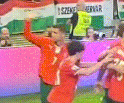 C罗大气, 歉意, 险胜匈牙利